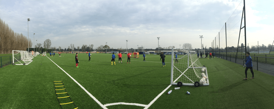 CCGrass pitch at Chelsea