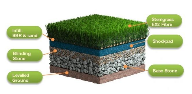 Stemgrass EX2 Cross Section