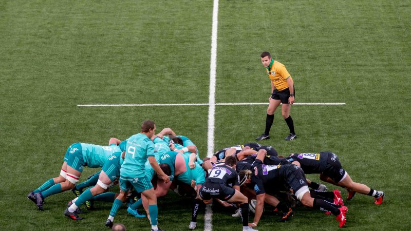 What does a rugby player look for in a pitch?