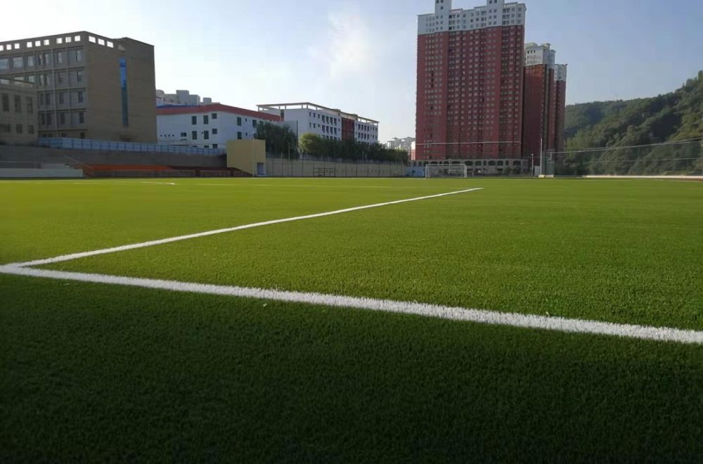 Zhidan County Campus Football Training Field (China PR)