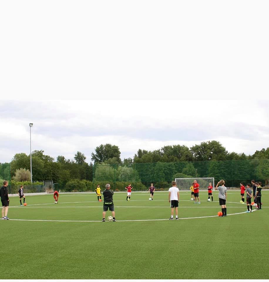 TSV Fortuna, Billigheim’s pitch