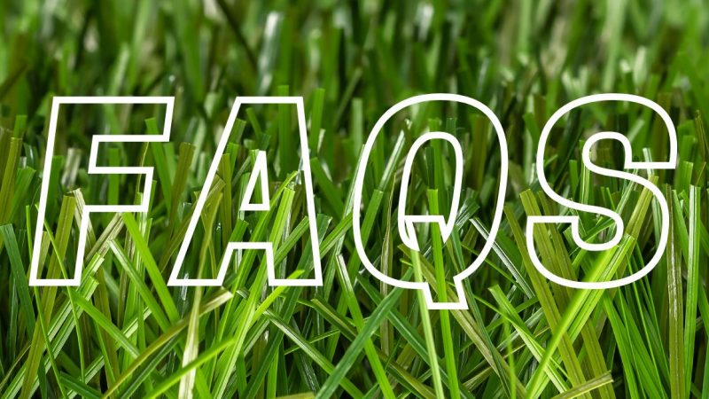 FAQs – Backing